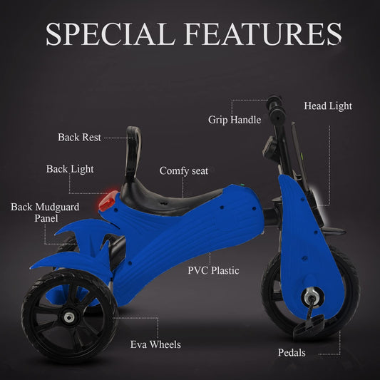 Panda N Torque Kids Tricycles for 18 Months to 5 Years Old Toddler Bike (Blue)