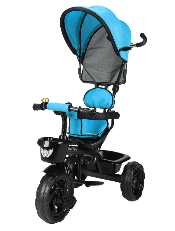 Tricycle With Safety Guardrail & Canopy (BJ-532 Sky Blue)