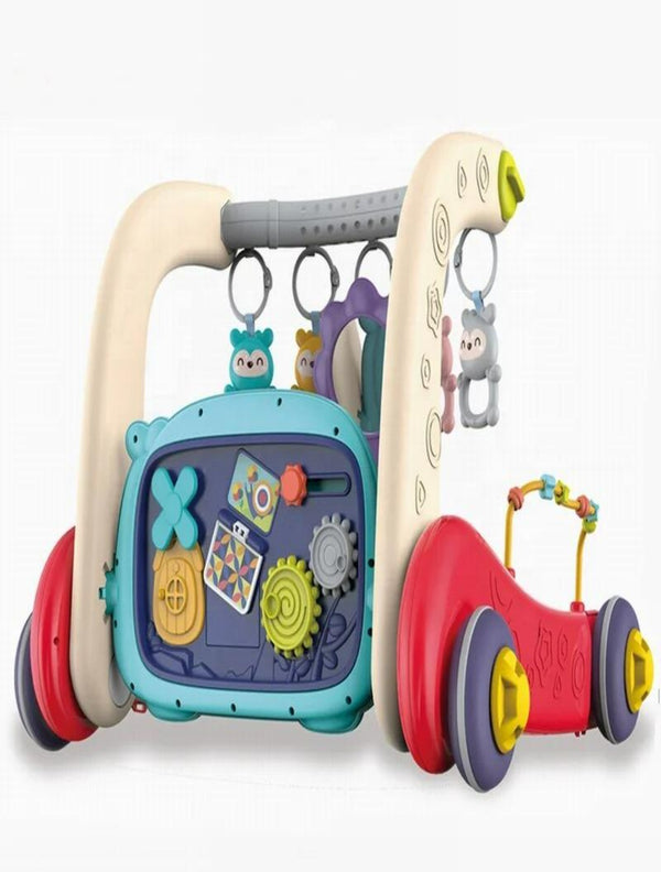 Multifunctional Baby Walker and Play GYM