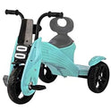 Panda Music & Light Tricycles for Kids 2 to 5 Years Boys Girls Twins Baby Tricycle for 0 to 3 Year Baby Cycle for Kids Birthday Gift Baby Color-Green