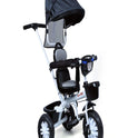 Musical Tricycle With Parental Handle & Canopy (BJ-573R-Black)