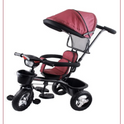 Musical Tricycle With Parental Handle & Canopy (BLUE)