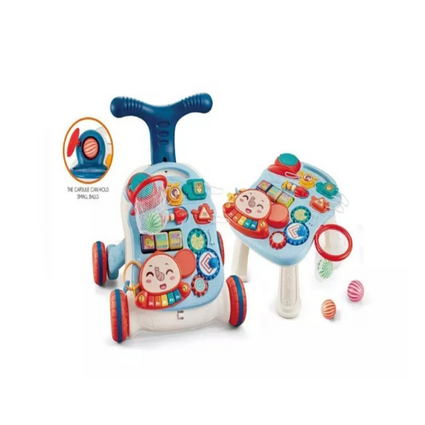 ACTIVITY/PUSH WALKERS