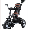 Tricycle with Parental Push Handle & Leather Seat