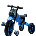 HIMALAYAN MUSICAL TRICYCLE
