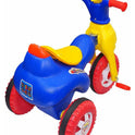 Spider Tricycle (Multicolor)