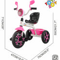 Melody Lite Trike Tricycle with Light and Music - Pink