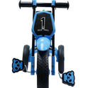 HIMALAYAN MUSICAL TRICYCLE