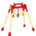 Toyzone Baby Play Gym - Multicolor