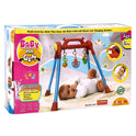 Toyzone Baby Play Gym - Multicolor