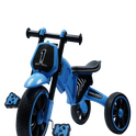 HIMALAYAN MUSICAL TRICYCLE