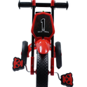 HIMALAYAN MUSICAL TRICYCLE