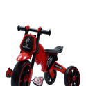 HIMALAYAN MUSICAL TRICYCLE