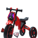 HIMALAYAN MUSICAL TRICYCLE
