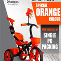 Dab Plus Tricycle With Parental Handle