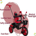 MUSICAL Tricycle with Parental Handle for Kids