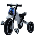 HIMALAYAN MUSICAL TRICYCLE