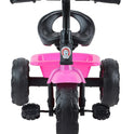 Tricycle With Storage Basket (Tz-524 Pink)