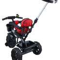 Tricycle with Safety Guardrail (TZ-531 Red)