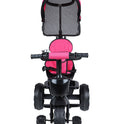 Tricycle With Safety Guardrail & Canopy (BJ-532 Pink)