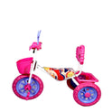 Musical Tricycle With Front & Rear Basket (PINK)