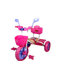 Musical Tricycle With Front & Rear Basket (PINK)