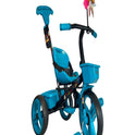 Dab Plus Tricycle With Parental Handle