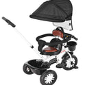 Musical Tricycle With Parental Handle & Canopy (BJ-573R-Black)