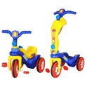 Scooter Cum Tricycle 2-in-1 (Multicolor)